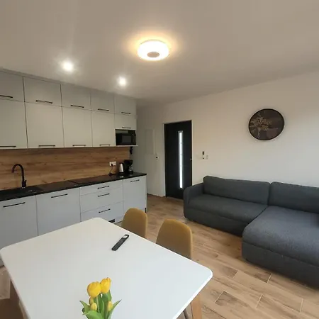 Parkcity Z Jacuzzi W Gorach Holiday home Biala Nizna